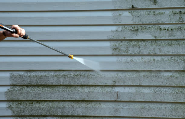 Best Attic Mold Removal  in Chatsworth, GA