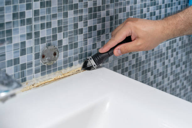 Best Black Mold Removal  in Chatsworth, GA